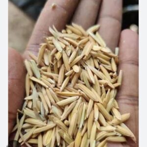 Premium Dhaan (Akshat) – Pure Unbroken Rice for Pujan & Auspicious Rituals