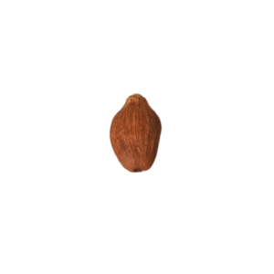 Small Shrifal for Pujan – Premium Dried Coconut (पूजन छोटा श्रीफल)